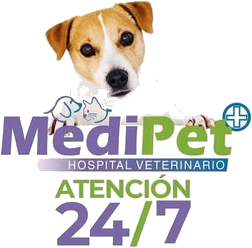 Hospital Veterinario Medipet
